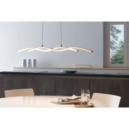 Eglo - LED luster na sajli 2xLED/8,5W/230V