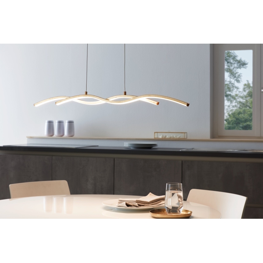 Eglo - LED luster na sajli 2xLED/8,5W/230V