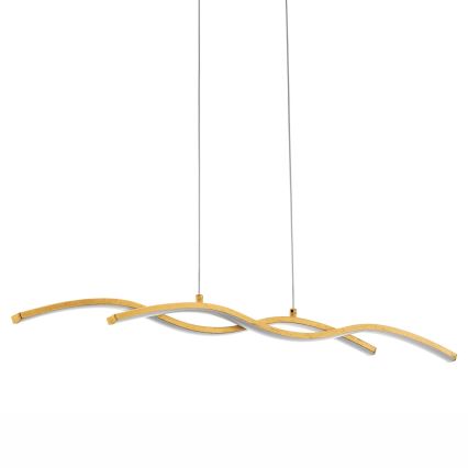 Eglo - LED luster na sajli 2xLED/8,5W/230V