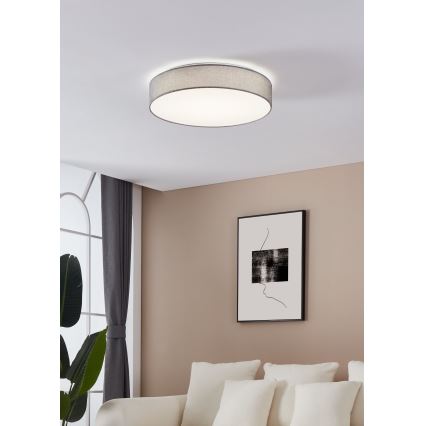 Eglo - LED stropna svjetiljka za prigušivanje LED/40W/230V