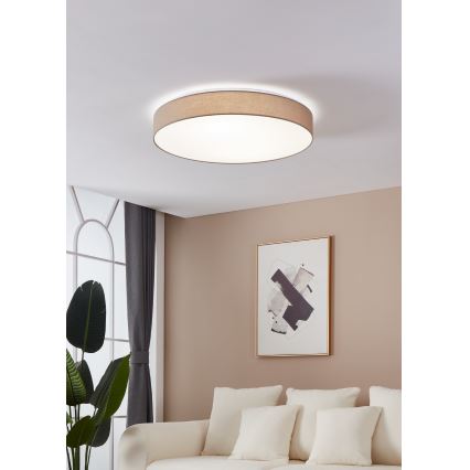 Eglo - LED stropna svjetiljka za prigušivanje LED/60W/230V