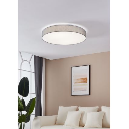 Eglo - LED stropna svjetiljka za prigušivanje LED/60W/230V