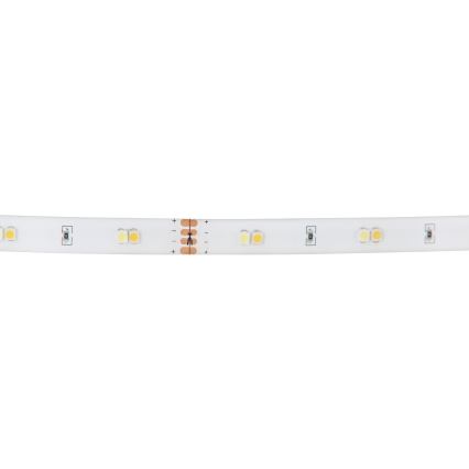 Eglo - RGB LED Prigušiva traka LED/10W/230V IP20 2m