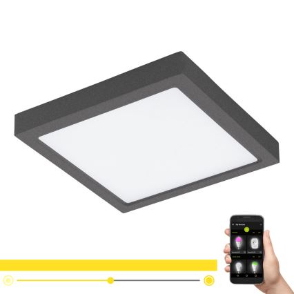 Eglo - LED Prigušiva vanjska svjetiljka ARGOLIS-C LED/22W/230V IP44 Bluetooth