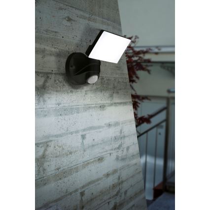 Eglo - LED vanjsko zidno svjetlo sa senzorom LED/15W/230V IP44