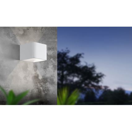 Eglo - LED Vanjska zidna svjetiljka LED/6W/230V IP55