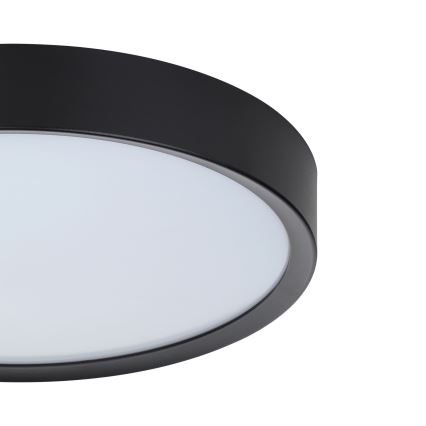 Eglo - LED Stropna svjetiljka LED/16,8W/230V