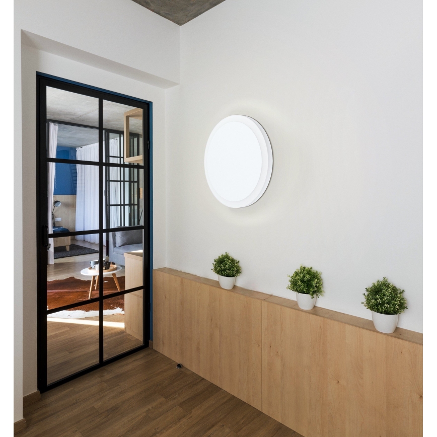 Eglo - LED Stropna svjetiljka LED/8,6W/230V