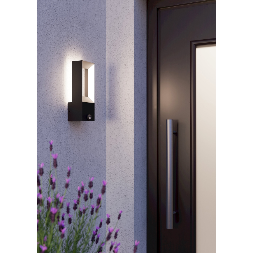 Eglo - LED Vanjska svjetiljka sa senzorom 2xLED/5W/230V IP44