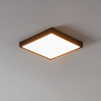 Eglo - LED Prigušiva svjetiljka za kupaonicu LED/19,5W/230V IP44 ZigBee