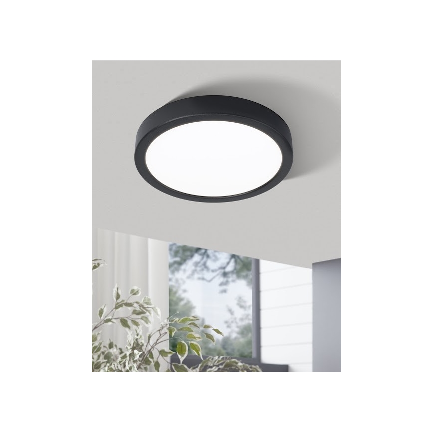 Eglo - LED Stropna svjetiljka LED/20W/230V
