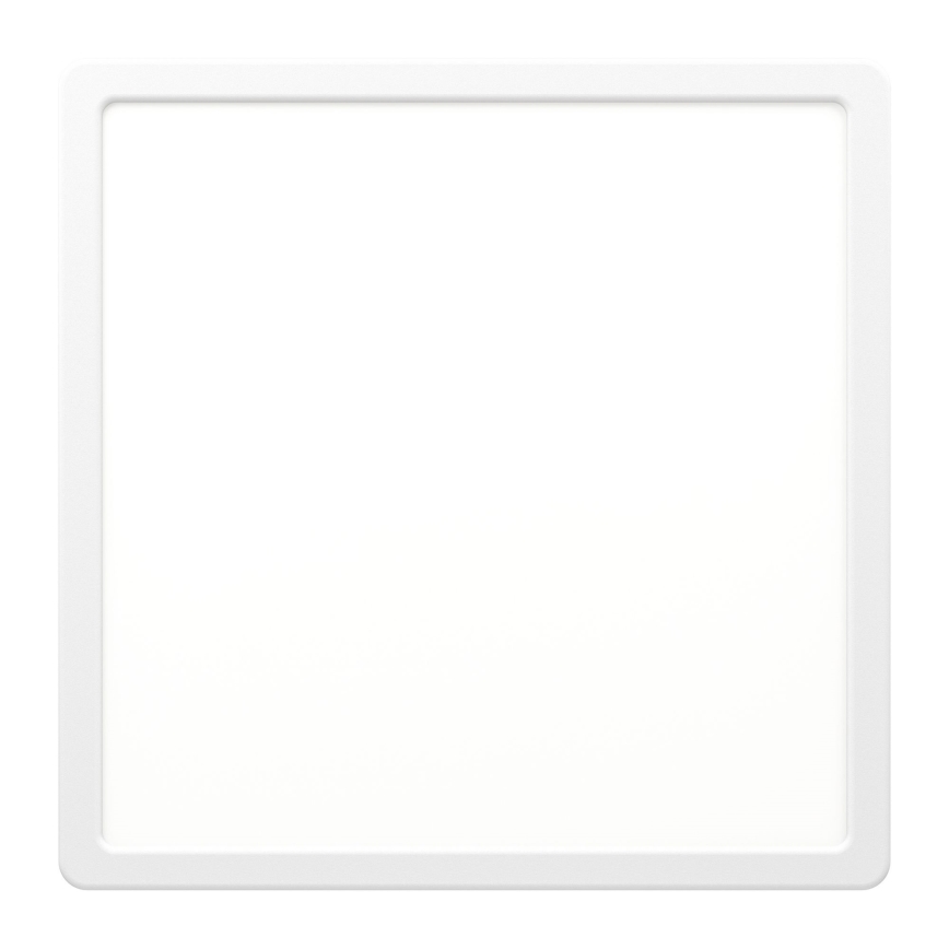 Eglo - LED Stropna svjetiljka LED/20W/230V