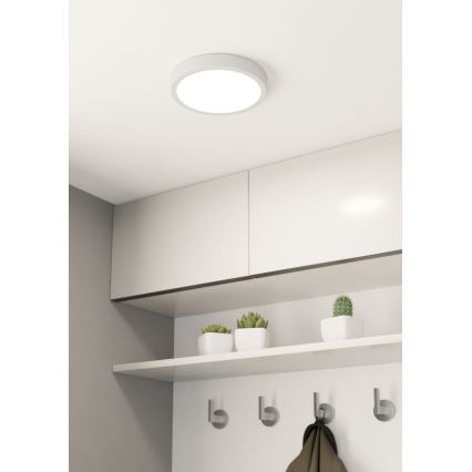 Eglo - LED Prigušiva stropna svjetiljka LED/16,5W/230V