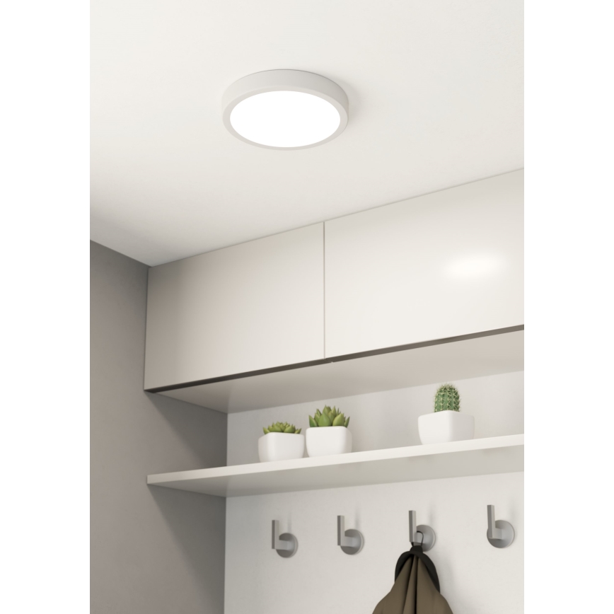 Eglo - LED Prigušiva stropna svjetiljka LED/16,5W/230V