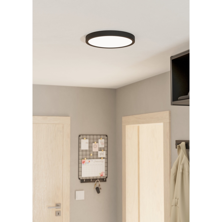 Eglo - LED Prigušiva stropna svjetiljka LED/20W/230V