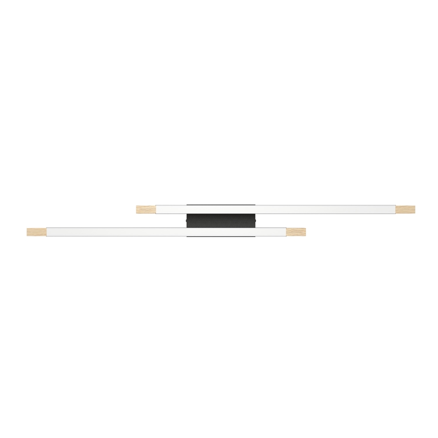 Eglo - LED Prigušiva stropna svjetiljka 2xLED/10W/230V