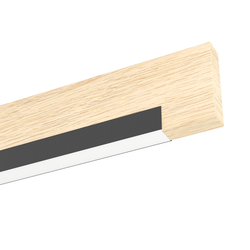 Eglo - LED Prigušiva stropna svjetiljka 2xLED/10W/230V