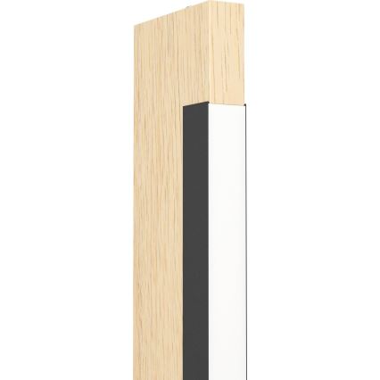 Eglo 99295 - LED stolna lampa CAMACHO, podesiva jačina svjetla LED/6,5W/230V