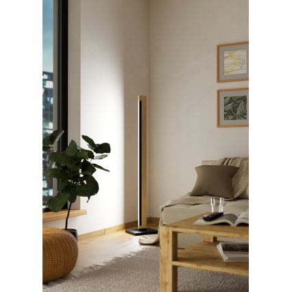 Eglo - LED Prigušiva dodirna podna lampa CAMACHO LED/22W/230V