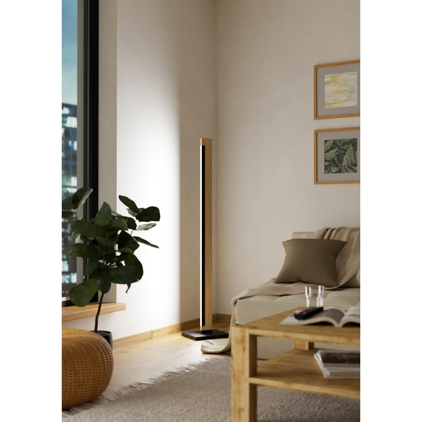 Eglo - LED Prigušiva dodirna podna lampa CAMACHO LED/22W/230V
