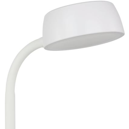 Eglo - LED Stolna lampa LED/4,5W/230V