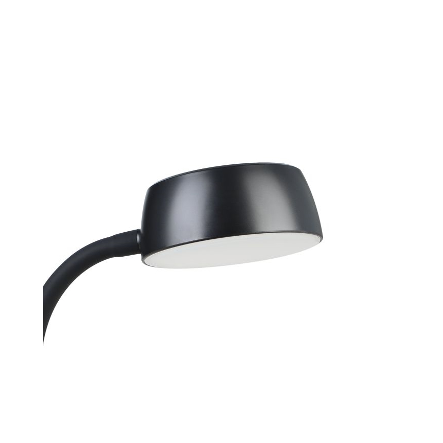 Eglo - LED Stolna lampa LED/4,5W/230V