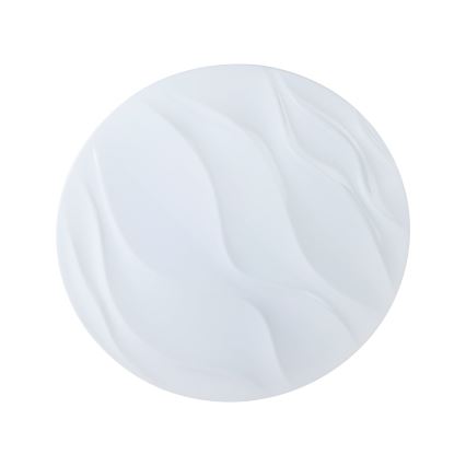 Eglo - LED Stropna svjetiljka LED/22W/230V