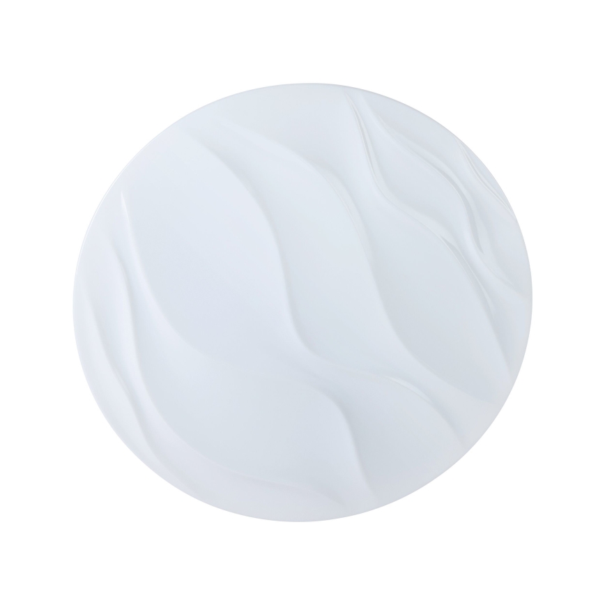 Eglo - LED Stropna svjetiljka LED/22W/230V