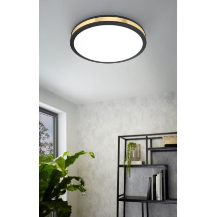 Eglo - LED Stropna svjetiljka LED/24W/230V