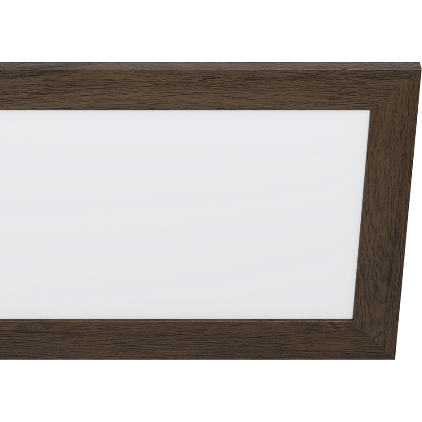 Eglo - LED Stropna svjetiljka LED/32W/230V 345x1245 mm