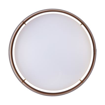 Eglo - LED Stropna svjetiljka LED/24W/230V