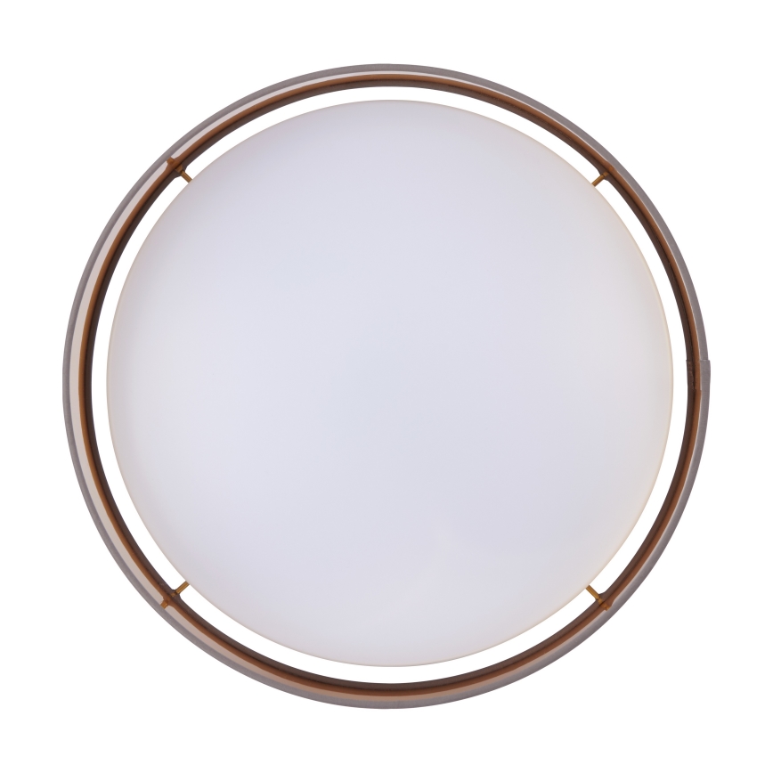 Eglo - LED Stropna svjetiljka LED/24W/230V
