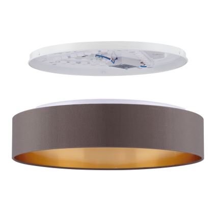 Eglo - LED Stropna svjetiljka LED/24W/230V