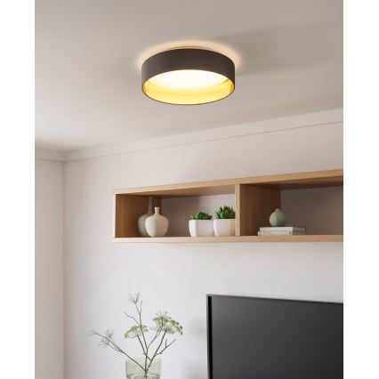 Eglo - LED Stropna svjetiljka LED/24W/230V