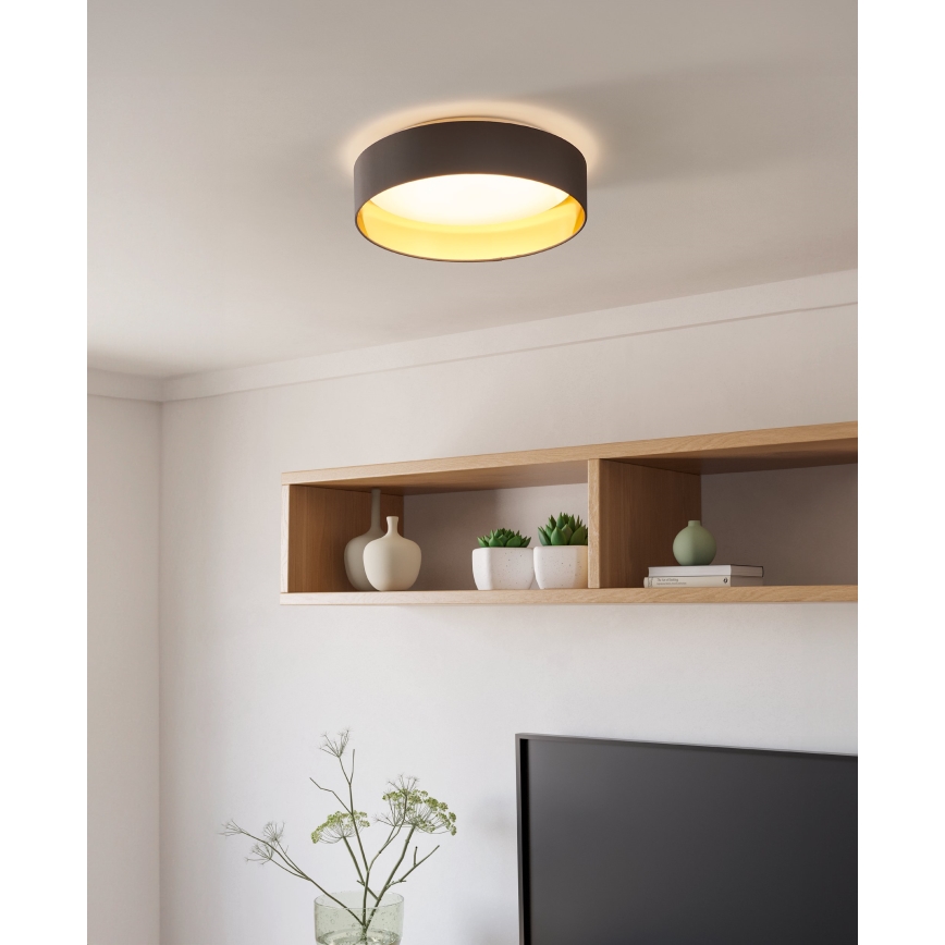 Eglo - LED Stropna svjetiljka LED/24W/230V