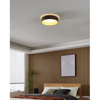 Eglo - LED Stropna svjetiljka LED/24W/230V