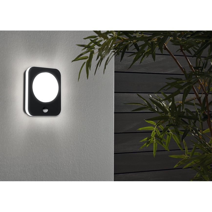 Eglo - LED Vanjska zidna svjetiljka sa senzorom LED/9W/230V IP44