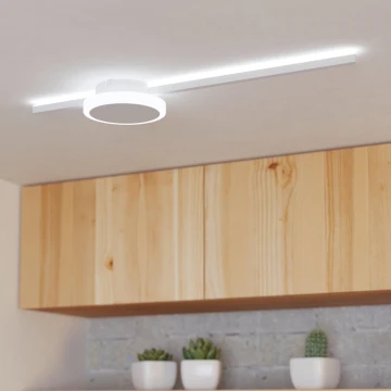 Eglo 99606 - LED stropno svjetlo SARGINTO LED/6,3W/230V + LED/5,4W