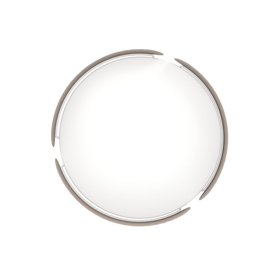 Eglo - LED Stropna svjetiljka LED/24W/230V