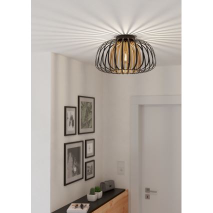 Eglo - Stropna svjetiljka 1xE27/40W/230V