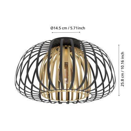 Eglo - Stropna svjetiljka 1xE27/40W/230V
