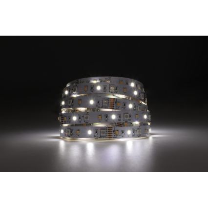 Eglo - LED RGBW Prigušiva traka 5m LED/11W/12/230V 2700-6500K ZigBee