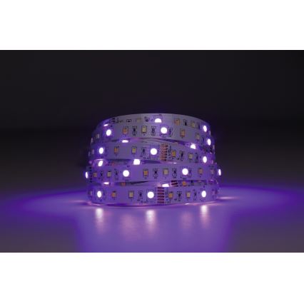 Eglo - LED RGBW Prigušiva traka 5m LED/11W/12/230V 2700-6500K ZigBee