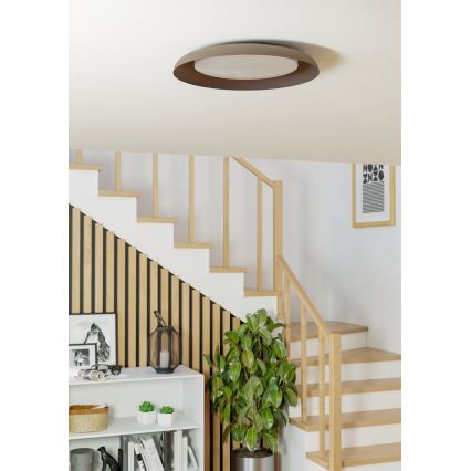 Eglo - LED Stropna svjetiljka LED/17,1W/230V smeđa