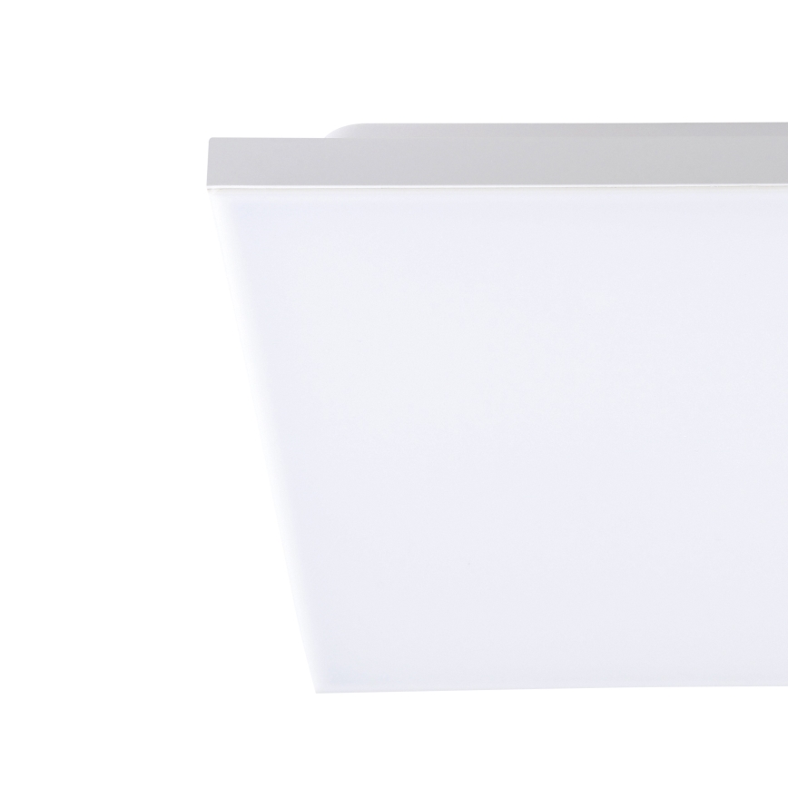 Eglo - LED Stropna svjetiljka LED/10W/230V