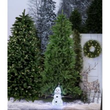 Eglo - Božićno drvce 210 cm smreka