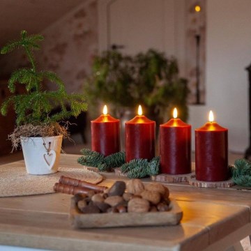 Eglo - LED božićna dekoracija LED/0,03W/2xAA