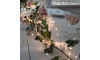Eglo - LED Božićne lampice 360xLED 2m topla bijela
