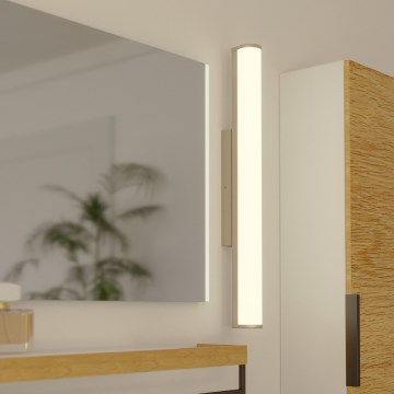 Eglo - LED kupaonska svjetiljka LED/13W/230V IP44