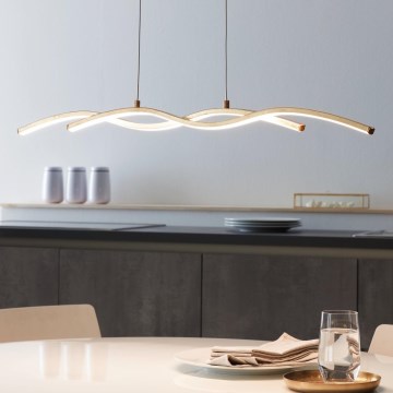 Eglo - LED luster na sajli 2xLED/8,5W/230V